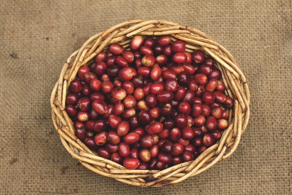 coffee, coffee beans, basket, woven basket, gayo coffee, red beans, sumatra coffee, top view, caffeine, coffee, coffee, coffee, coffee beans, coffee beans, coffee beans, coffee beans, coffee beans, basket, red beans